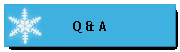 Q & A